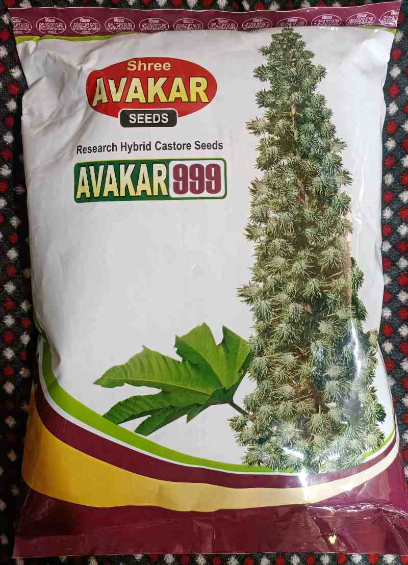 એરંડા બીયારણ મળશે