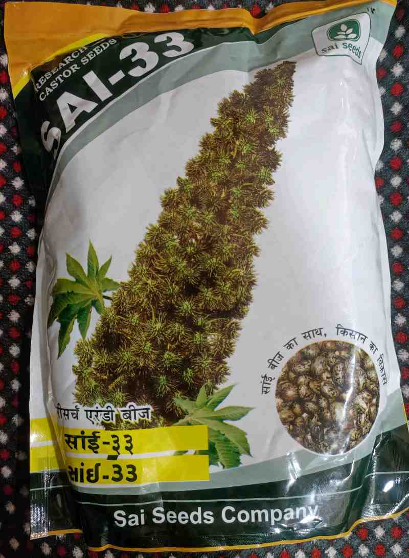 એરંડા બીયારણ મળશે