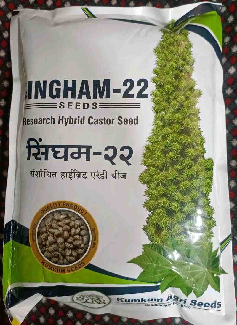 એરંડા બીયારણ મળશે