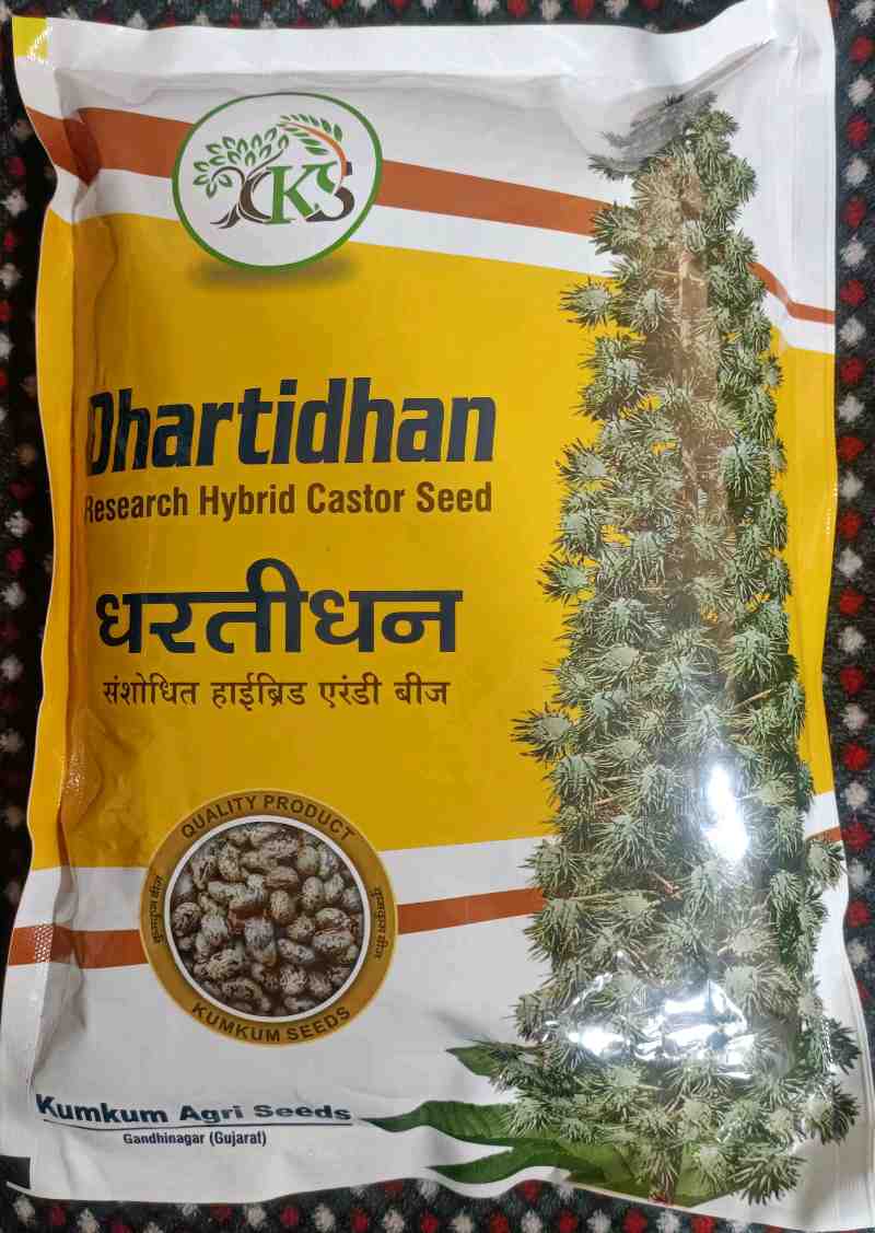એરંડા બીયારણ મળશે