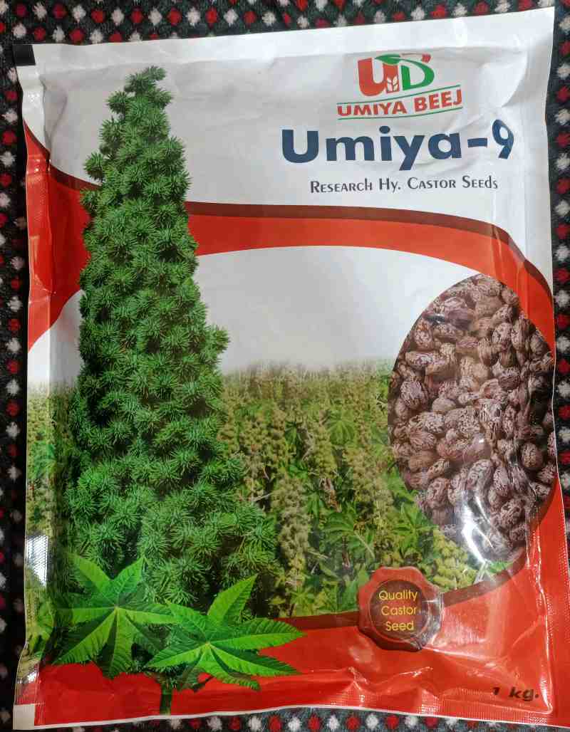 એરંડા બીયારણ મળશે
