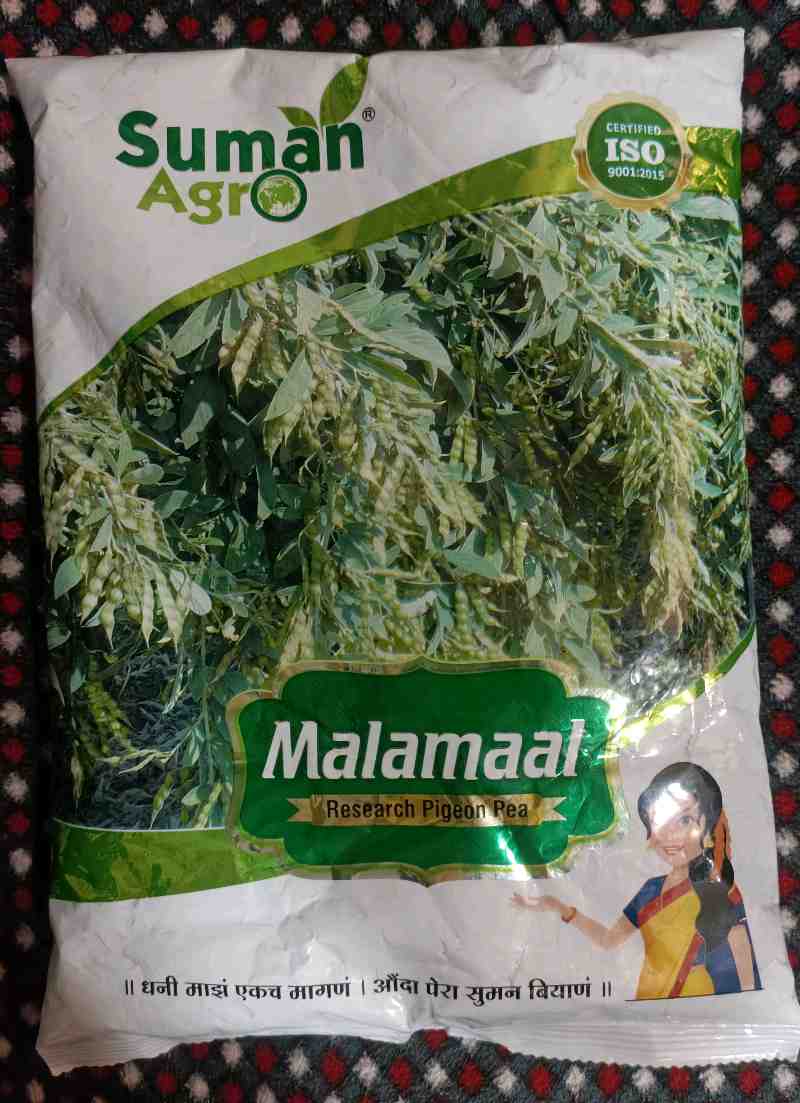 એરંડા બીયારણ મળશે