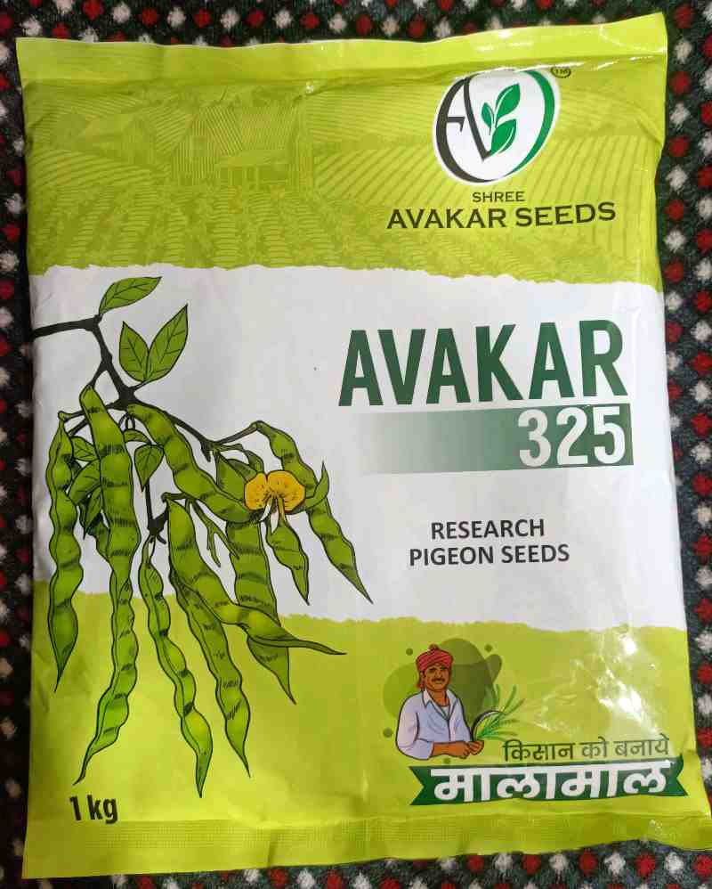 એરંડા બીયારણ મળશે