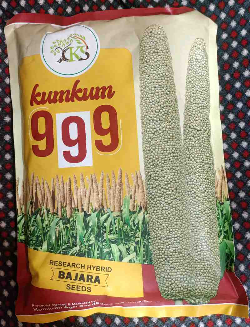 એરંડા બીયારણ મળશે