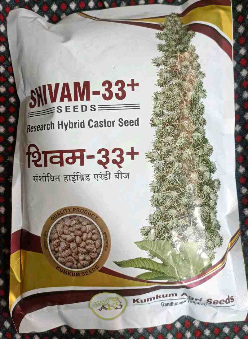 એરંડા બીયારણ મળશે