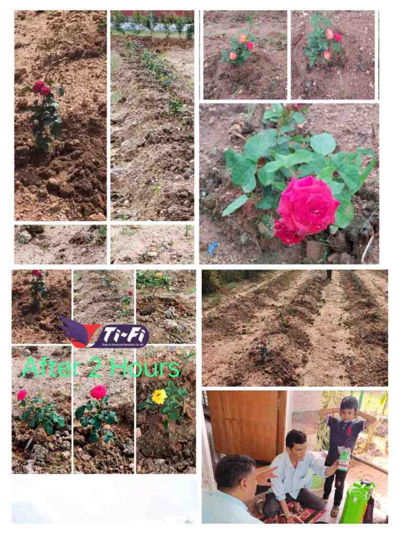 ભુસ્ત્ર સુપર અને ગ્રો મેઝિક એડવાન્સ