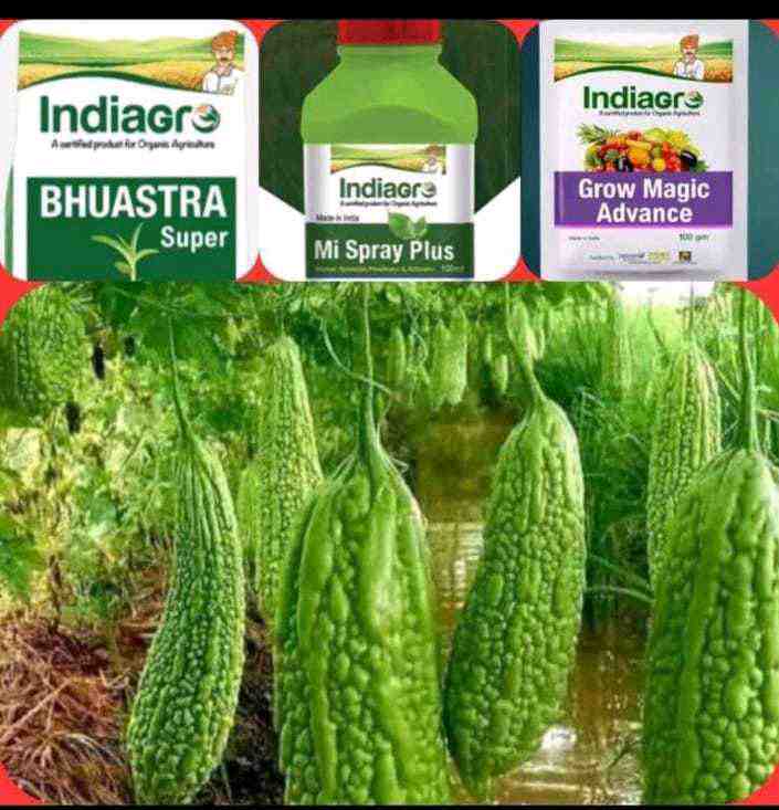 ભુસ્ત્ર સુપર અને ગ્રો મેઝિક એડવાન્સ